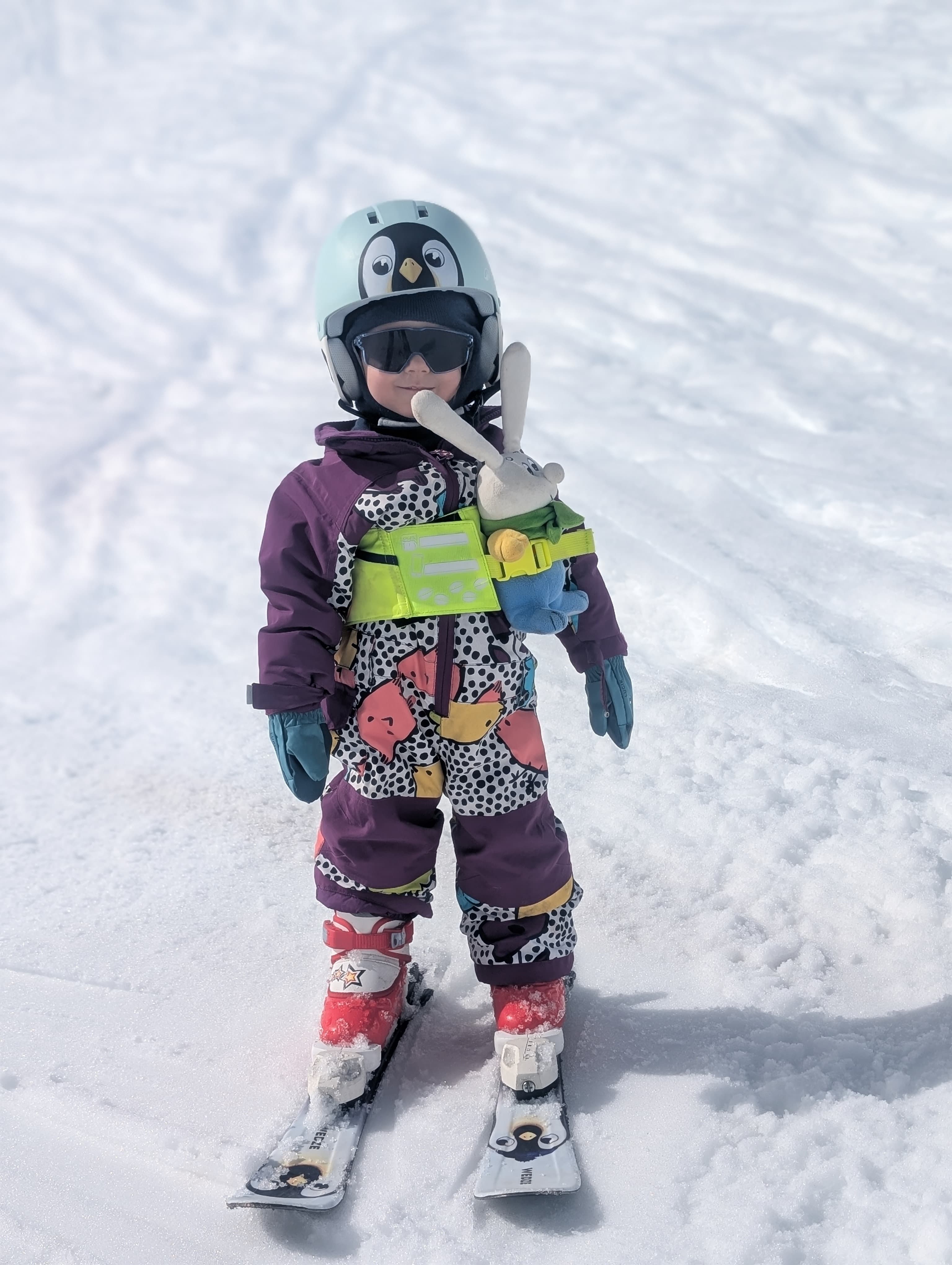Mini kid skiing